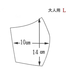  第4張的照片