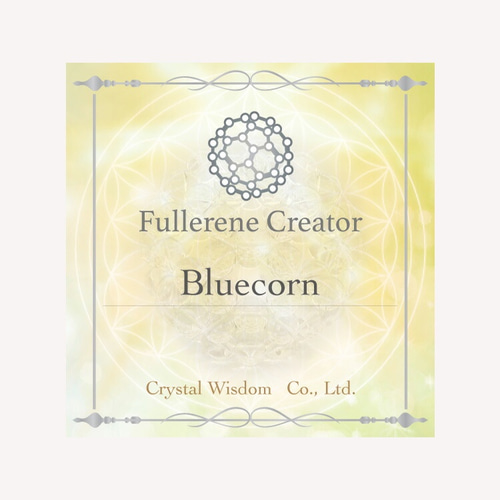 神聖幾何学 フラーレン 最強のお守り石 モリオン黒水晶 10ミリ水晶