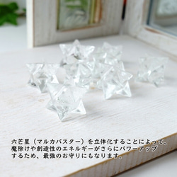  第5張的照片