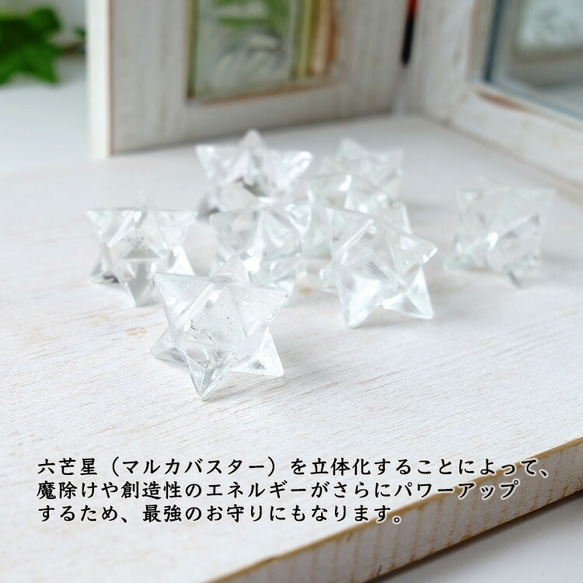  第5張的照片