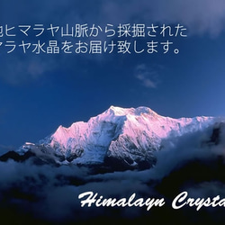  第7張的照片
