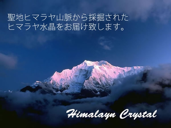  第7張的照片