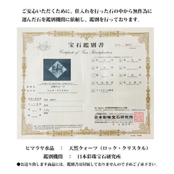  第8張的照片