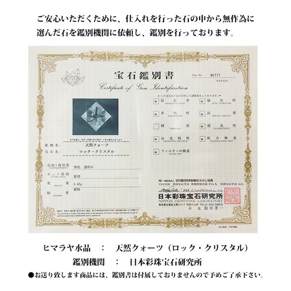  第8張的照片