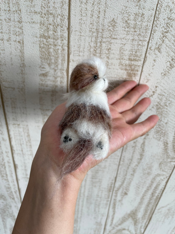 羊毛フェルト　犬　シーズー 2枚目の画像