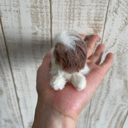 羊毛フェルト　犬　シーズー 3枚目の画像