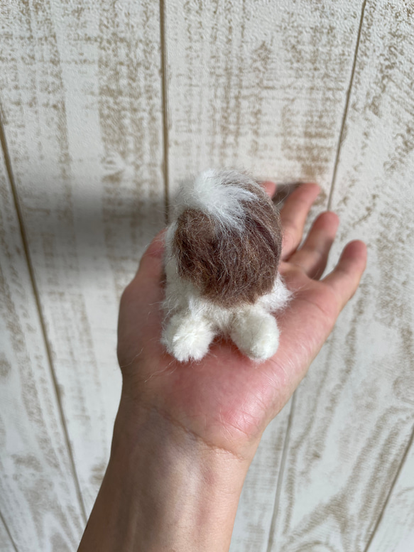 羊毛フェルト　犬　シーズー 3枚目の画像