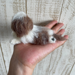 羊毛フェルト　犬　シーズー 4枚目の画像