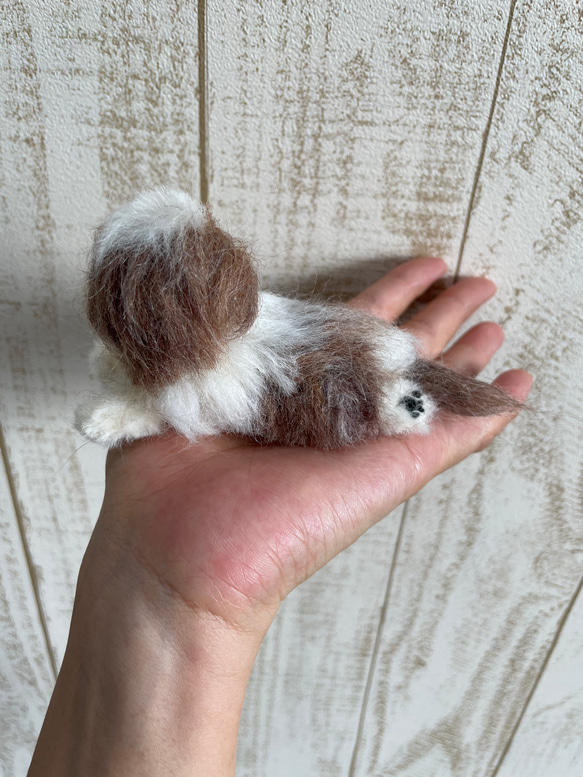 羊毛フェルト　犬　シーズー 4枚目の画像