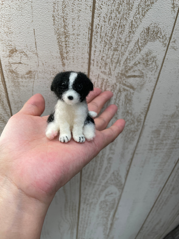 羊毛フェルト　犬　ボーダーコリー子犬 1枚目の画像