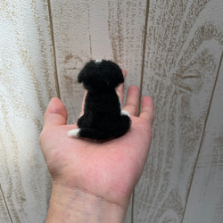 羊毛フェルト　犬　ボーダーコリー子犬 4枚目の画像