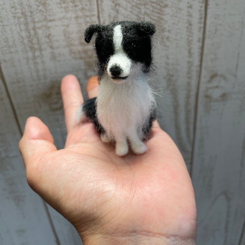 羊毛フェルト 犬 ボーダーコリー 羊毛フェルト airi-nn 通販 羊毛フェルト 犬 ボーダーコリー 羊毛フェルト airi-nn 通販