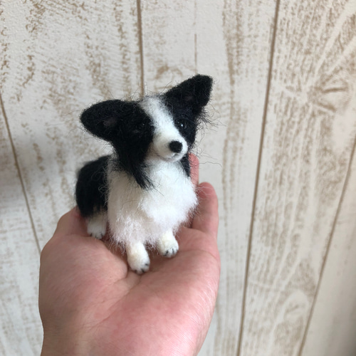 羊毛フェルト 犬 手のりボーダーコリー 羊毛フェルト airi-nn