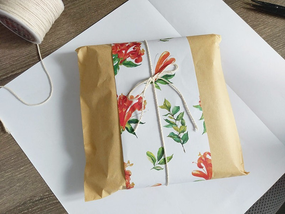 奧斯汀玫瑰 鞭炮花 珊瑚紅 包裝紙 紙書衣(10入) 第1張的照片