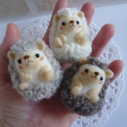リアル系♪ころんとハリネズミ 羊毛フェルト *あしあと* 通販 リアル系♪ころんとハリネズミ 羊毛フェルト *あしあと* 通販