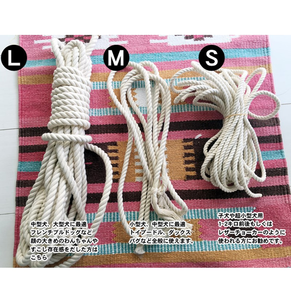 犬用首輪 ロープ ドッグ 名札 ネームタグ オーダーメイド ropedogcollers 2枚目の画像