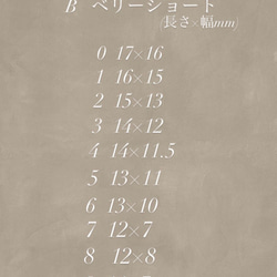 再販✴︎ベージュニュアンスネイル✴︎ 3枚目の画像