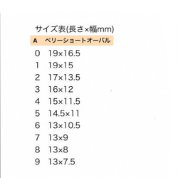 サイズ確認用チップ✳︎ 2枚目の画像