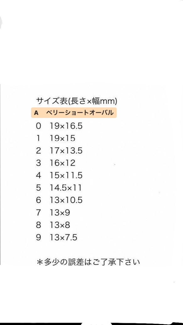 サイズ確認用チップ✳︎ 2枚目の画像