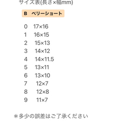 サイズ確認用チップ✳︎ 3枚目の画像