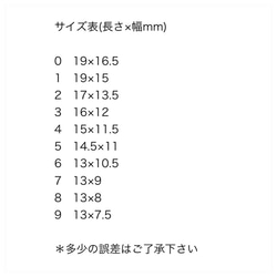 再販✳︎ニュアンスネイルNO16＊ 3枚目の画像