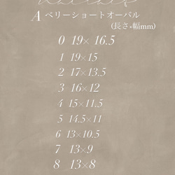 再販4✳︎囲みべっ甲ネイル＊ 3枚目の画像