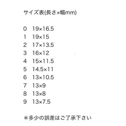 再販5✳︎ニュアンスレオパードネイル②＊ 3枚目の画像