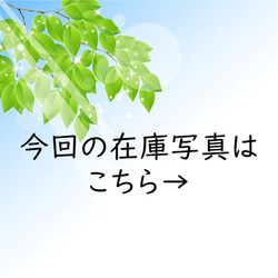 【大】アレキサンドライト（雫・クリア）ネックレス　ヴィンテージ 8枚目の画像