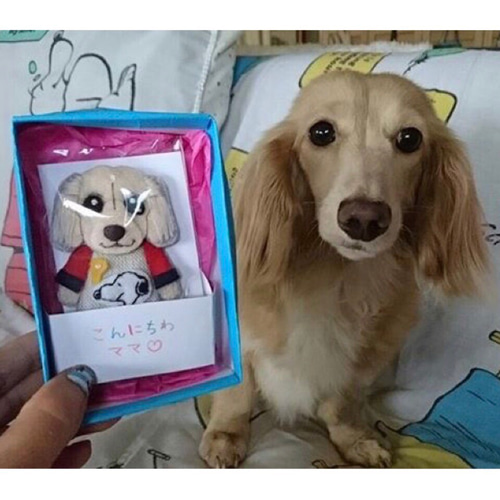 犬服 ☆ つぼみちゃん様専用ページ ハンドメイド