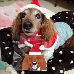 Creema限定【スマイルわんこ】セミオーダー・スマイルオーナメント（クリスマス）サンタ・トナカイ・犬・ペット・フェルト 6枚目の画像