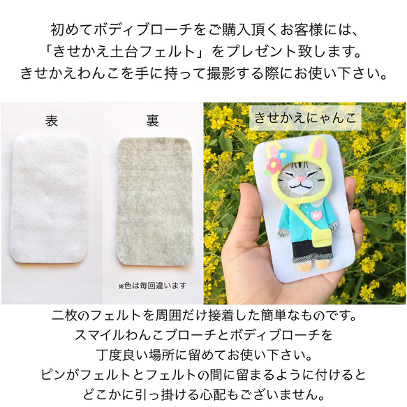 ●数量限定１点●夏の福袋【きせかえわんこ】ダックスフンド（Creema限定） 3枚目の画像