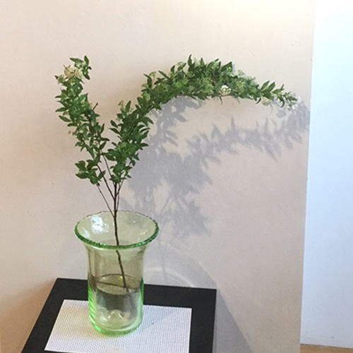 優しい黄緑色の大きめ花器 Candy ベース 黄緑 一輪挿し・花瓶