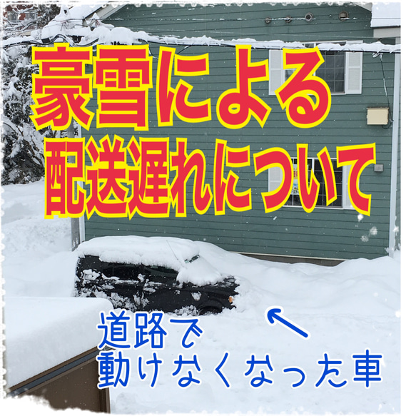 豪雪による配送遅れ　期日指定　お急ぎの方はご遠慮くださいませ　展示では閲覧されない為　告知専用のページです 20枚目の画像