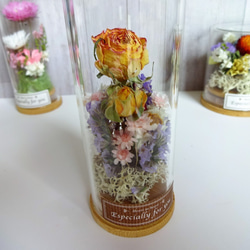 ボトルフラワー　薔薇or姫貝細工 3枚目の画像