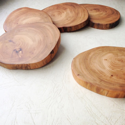 木の手作り台湾ヒノキ。檜木コースターログ香り/贈り物/森林局/フィトンチッド 1枚目の画像