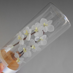送料無料　ガラスの中の胡蝶蘭　インテリア・プレゼント用 2枚目の画像