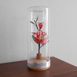 送料無料　ガラスの中の赤椿　インテリア・プレゼント用 4枚目の画像