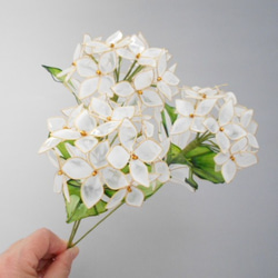 （送料無料）お部屋に白紫陽花　３本セット（変わり花） 1枚目の画像