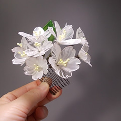 櫻花的髮夾梳子（白蘭花） 第3張的照片