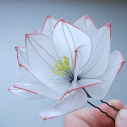 蓮の花のＵピン（白）　 2枚目の画像