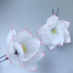 蓮の花のＵピン（白）　 3枚目の画像