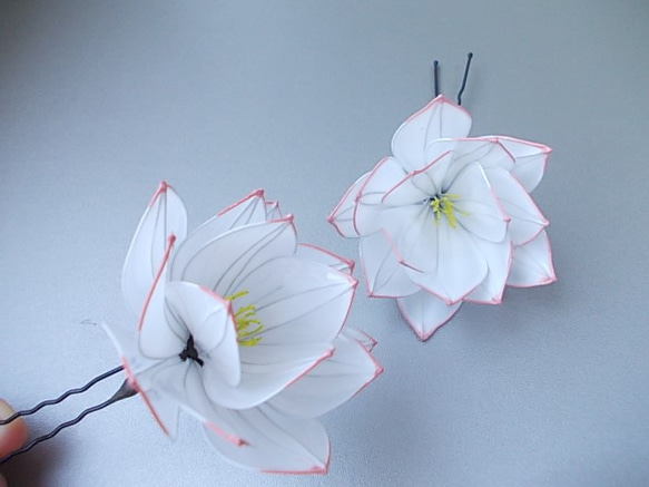 蓮の花のＵピン（白）　 3枚目の画像