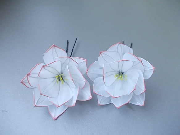 蓮の花のＵピン（白）　 1枚目の画像