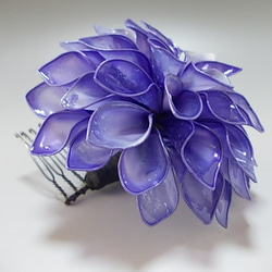 皇帝大麗花（紫色）梳子髮夾 第5張的照片