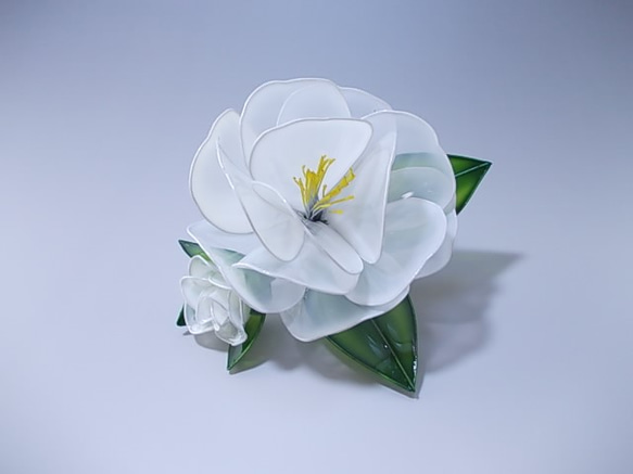 茶梅，山茶花（白色）梳形髮夾 第6張的照片