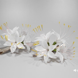 Higanki花（白色）髮夾/髮飾 第1張的照片