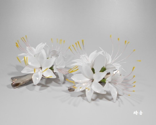 0_f56623ba147a4187a3a289246a75