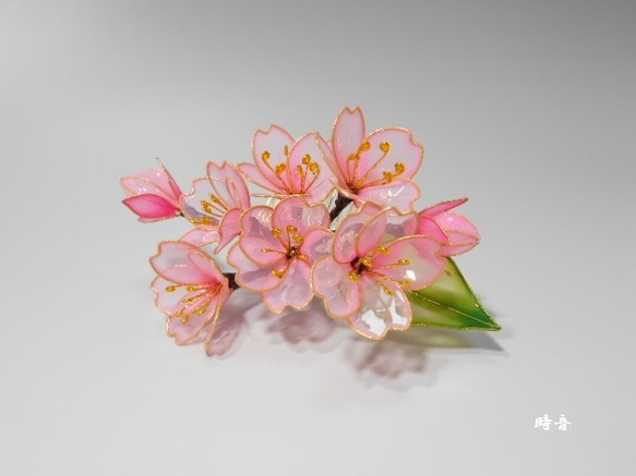櫻花（Tenchun）梳子·一片棒 第1張的照片