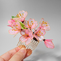櫻花（Tenchun）梳子·一片棒 第3張的照片