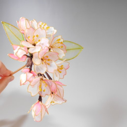 櫻花（Urayama）填充一切 第3張的照片
